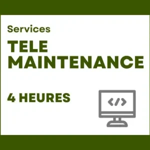 Télémaintenance 4h